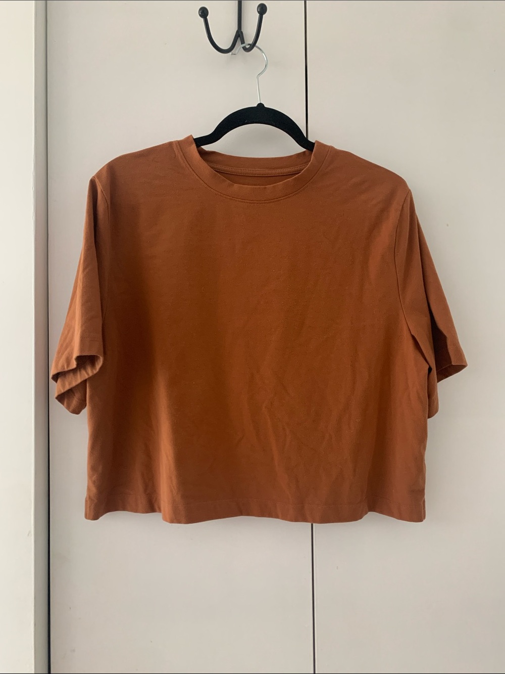 a new day Cropped Short Sleeve Tee in Rust Brown